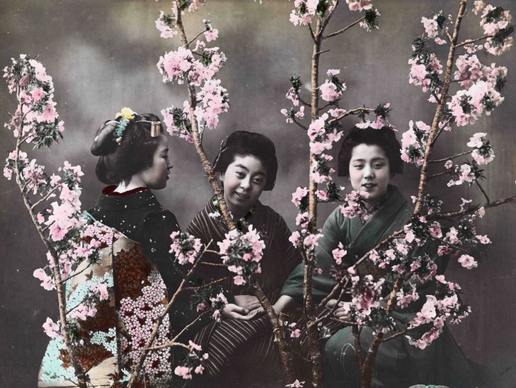 Scidmore_photo_bijin_among_blossoms_hand_colored_7b